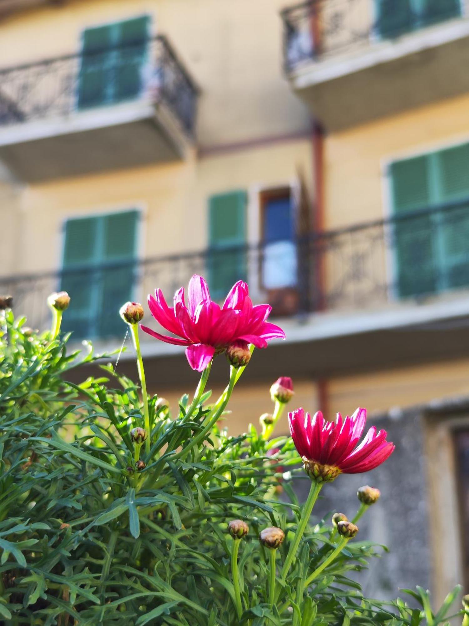 Casa Agello B&B Ripatransone Exterior foto